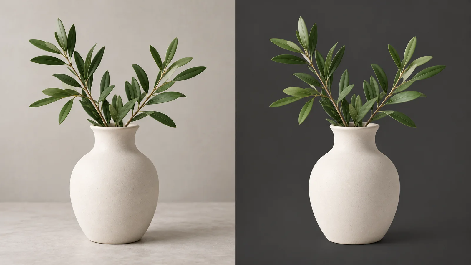 Illustrative landscape comparison of a leafy ceramic vase in a studio and isolated against a smooth charcoal backdrop